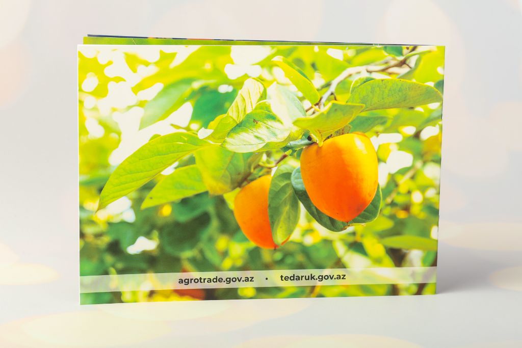Agrotrade / Tedaruk gov.az catalogue — agricultural brochure with persimmon