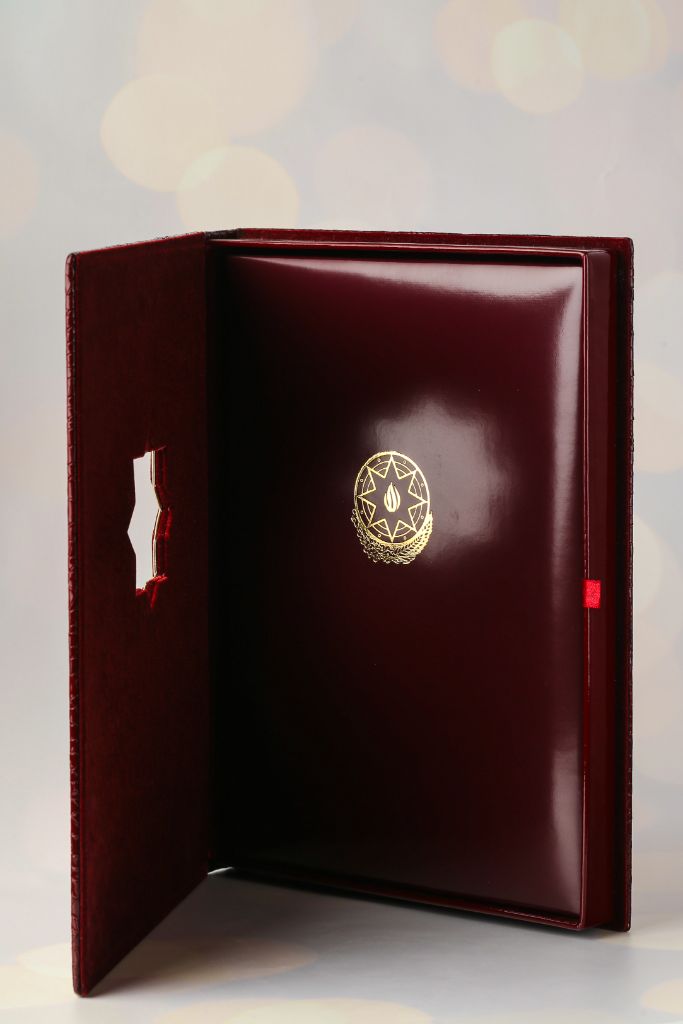 Crocodile folder open 2 — ring binder view